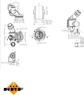 NRF 725003 - Termostato, Refrigerante autozon.pro