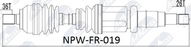 NTY NPW-FR-019 - Albero motore / Semiasse autozon.pro