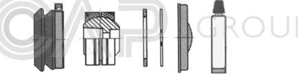 OCAP 0907257 - Kit riparazione, Braccio oscillante autozon.pro