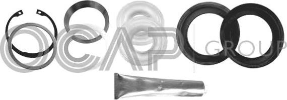 OCAP 0907757 - Kit riparazione, Braccio oscillante autozon.pro