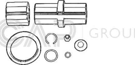 OCAP 0927438 - Kit riparazione, Perno fuso a snodo autozon.pro