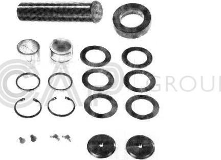 OCAP 0927791 - Kit riparazione, Perno fuso a snodo autozon.pro