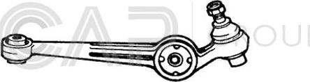 OCAP 0390300 - Braccio oscillante, Sospensione ruota autozon.pro