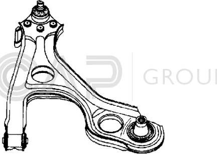 OCAP 0790113 - Braccio oscillante, Sospensione ruota autozon.pro