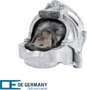 OE Germany 800630 - Sospensione, Motore autozon.pro