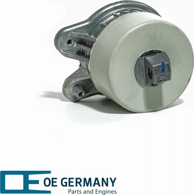 OE Germany 801020 - Sospensione, Motore autozon.pro