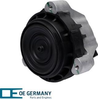 OE Germany 801225 - Sospensione, Motore autozon.pro