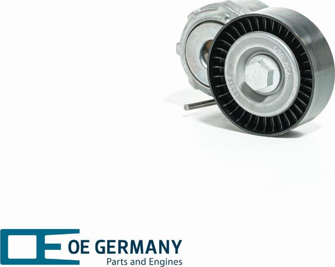 OE Germany 802767 - Tendicinghia, Cinghia Poly-V autozon.pro