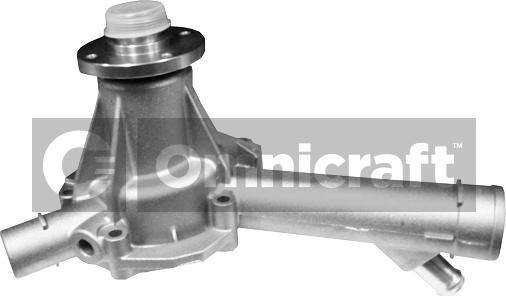 Omnicraft 2317409 - Pompa acqua autozon.pro