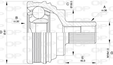 Open Parts CVJ5538.10 - Kit giunti, Semiasse autozon.pro