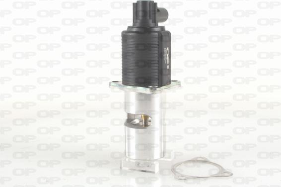 Open Parts EGR3024.00 - Valvola ricircolo gas scarico-EGR autozon.pro