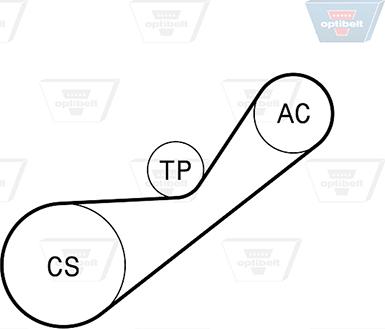 Optibelt 4 PK 925KT1 - Kit Cinghie Poly-V autozon.pro