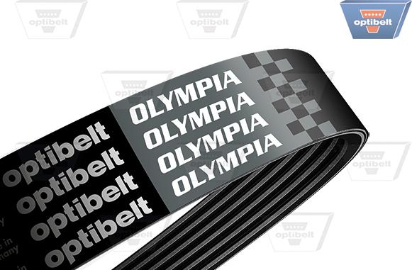 Optibelt 6 PK 1073 OLYMPIA - Cinghia Poly-V autozon.pro