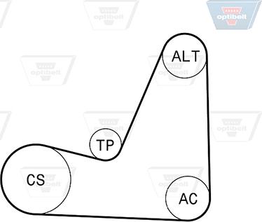 Optibelt 5 PK 1200KT1 - Kit Cinghie Poly-V autozon.pro