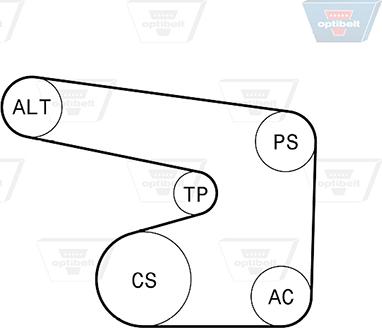 Optibelt 6 PK 1900KT1 - Kit Cinghie Poly-V autozon.pro