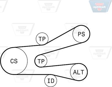 Optibelt 6 PK 1440KT1 - Kit Cinghie Poly-V autozon.pro