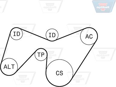 Optibelt 6 PK 1642KT1 - Kit Cinghie Poly-V autozon.pro
