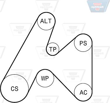 Optibelt 6 PK 1660KT1 - Kit Cinghie Poly-V autozon.pro