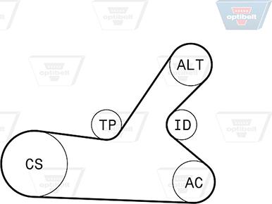 Optibelt 6 PK 1145KT2 - Kit Cinghie Poly-V autozon.pro