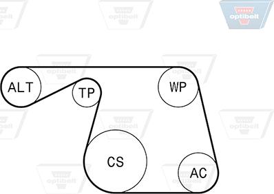 Optibelt 6 PK 1310KT1 - Kit Cinghie Poly-V autozon.pro