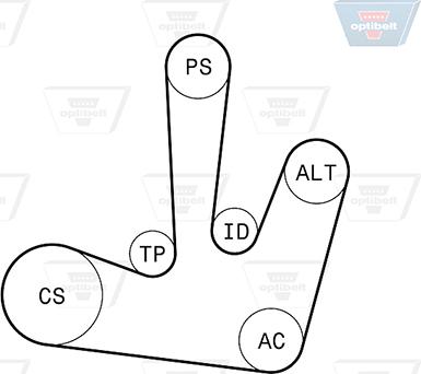 Optibelt 6 PK 1795KT1 - Kit Cinghie Poly-V autozon.pro