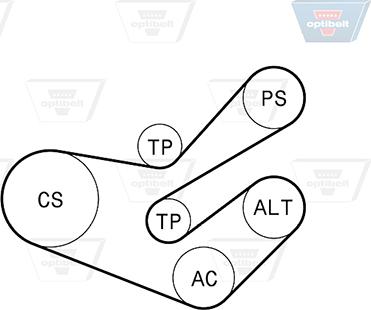 Optibelt 6 PK 1750KT2 - Kit Cinghie Poly-V autozon.pro