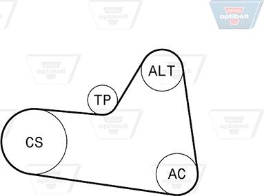 Optibelt 6 PK 1710KT1 - Kit Cinghie Poly-V autozon.pro