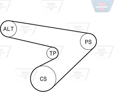 Optibelt 6 PK 1725KT2 - Kit Cinghie Poly-V autozon.pro