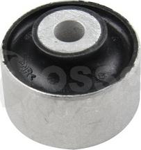 OSSCA 56098 - Supporto, Braccio oscillante autozon.pro