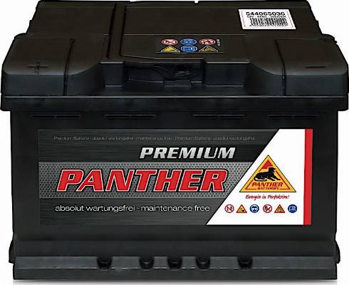 PANTHER SB.5446533 - Batteria avviamento autozon.pro