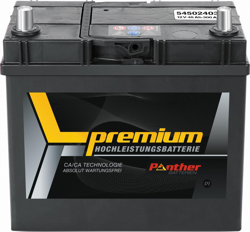 PANTHER SB.5452433 - Batteria avviamento autozon.pro