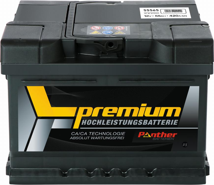 PANTHER SB.5556533 - Batteria avviamento autozon.pro