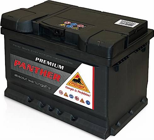 PANTHER SB.5556633 - Batteria avviamento autozon.pro