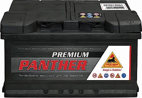 PANTHER SB.5631833 - Batteria avviamento autozon.pro