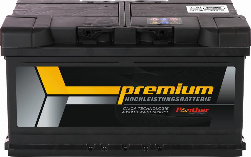 PANTHER SB.5753933 - Batteria avviamento autozon.pro