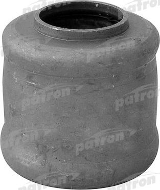 Patron PSE10236 - Supporto, Braccio oscillante autozon.pro