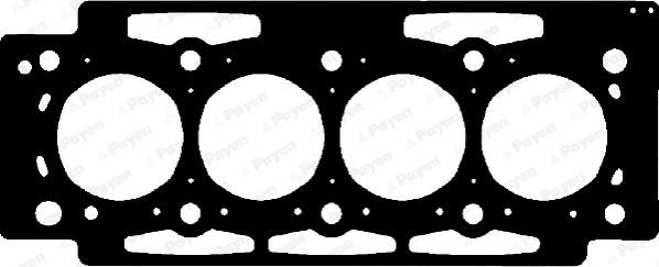 Payen AD5310 - Guarnizione, Testata autozon.pro