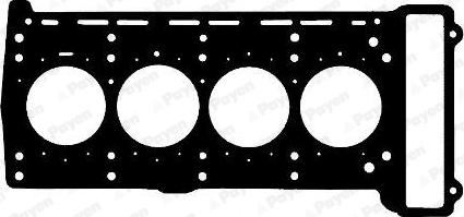 Payen AG8790 - Guarnizione, Testata autozon.pro