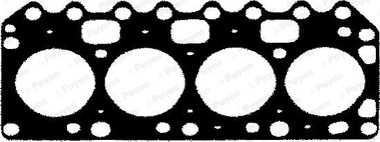 Payen BT110 - Guarnizione, Testata autozon.pro