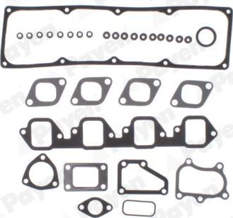 Payen CC5750 - Kit guarnizioni, Testata autozon.pro