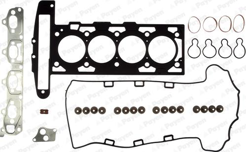 Payen CG9580 - Kit guarnizioni, Testata autozon.pro