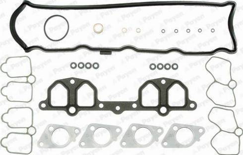 Payen CY081 - Kit guarnizioni, Testata autozon.pro