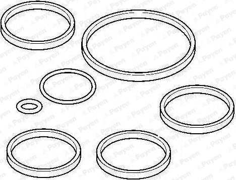 Payen HA5053 - Kit guarnizioni, Collettore aspirazione autozon.pro