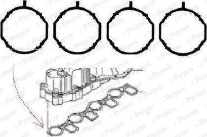 Payen HA5069 - Kit guarnizioni, Collettore aspirazione autozon.pro