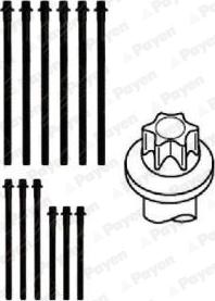 Payen HBS467 - Kit bulloni testata autozon.pro