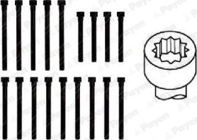 Payen HBS058 - Kit bulloni testata autozon.pro