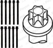 Payen HBS102 - Kit bulloni testata autozon.pro