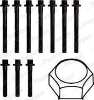 Payen HBS175 - Kit bulloni testata autozon.pro