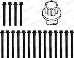 Payen HBS315 - Kit bulloni testata autozon.pro