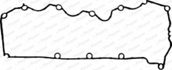 Payen JM5163 - Guarnizione, Copritestata autozon.pro
